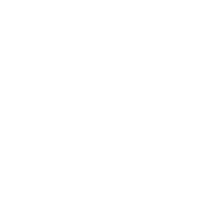 Alex Delfin Logo